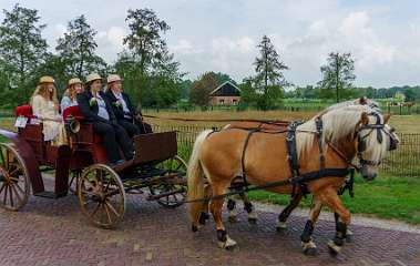 21e Eschrit Koets'n Keerls, Rijtuigen