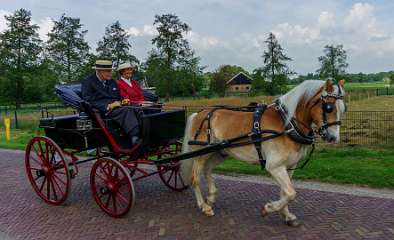21e Eschrit Koets'n Keerls, Rijtuigen