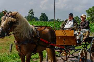 21e Eschrit Koets'n Keerls, Rijtuigen