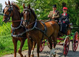 21e Eschrit Koets'n Keerls, Rijtuigen