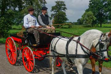 21e Eschrit Koets'n Keerls, Rijtuigen