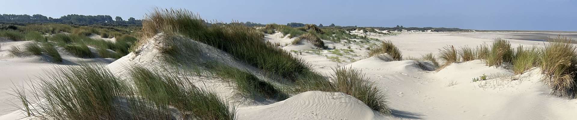 Click to show or hide the buttons