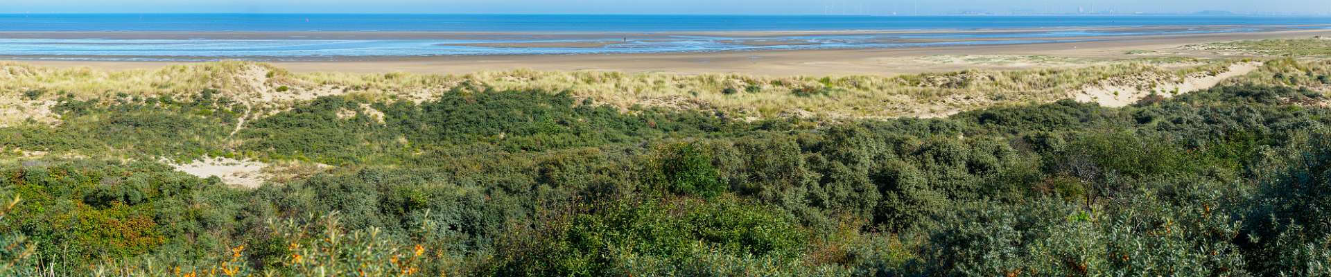 Click to show or hide the buttons