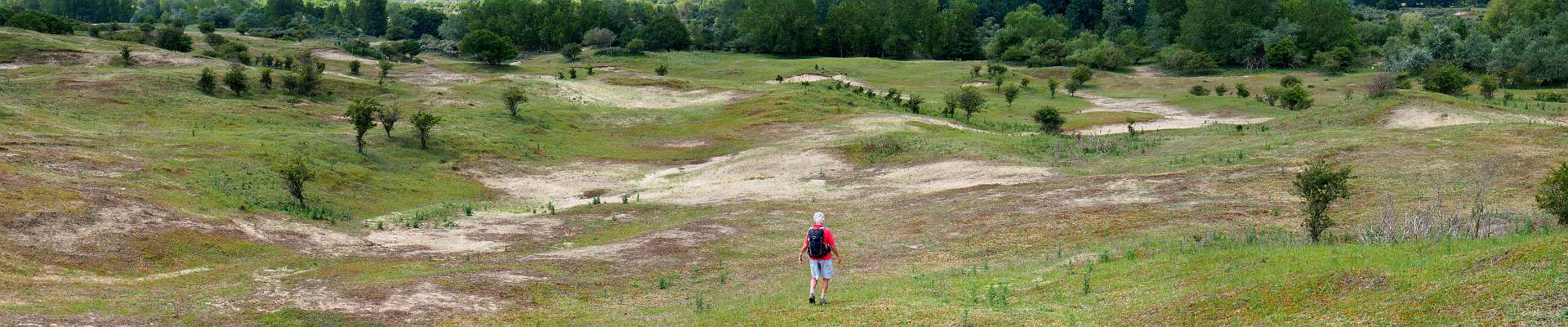 Click to show or hide the buttons