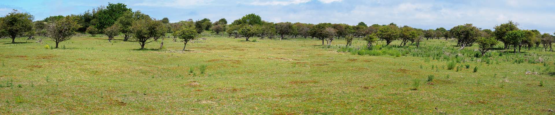 Click to show or hide the buttons