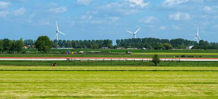 Braassemermeer, Wijde Aa