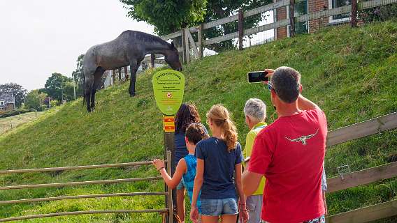 Over het erf van de boer