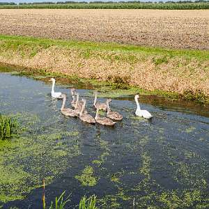 Zwetpolderroute wandeling