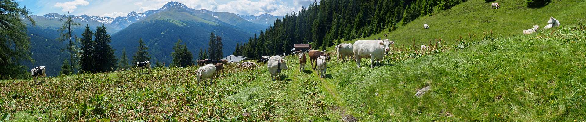 Klik om de knoppen te tonen of te verbergen