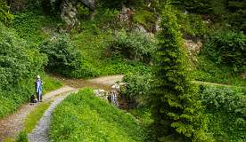 Schatzalp Erbalp Stafelalp Glaris