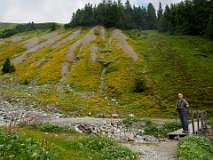 Schatzalp Erbalp Stafelalp Glaris