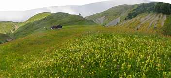 Schatzalp Erbalp Stafelalp Glaris<br>Lochalp