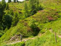 Schatzalp Erbalp Stafelalp Glaris