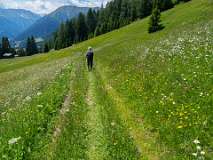 Schatzalp Erbalp Stafelalp Glaris