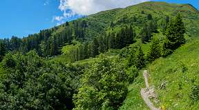 Schatzalp Erbalp Stafelalp Glaris
