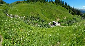 Schatzalp Erbalp Stafelalp Glaris