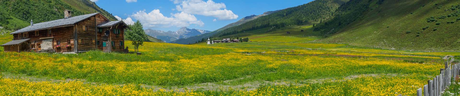 Klik om de knoppen te tonen of te verbergen
