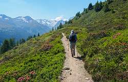 Jatzmeder Sertig Sand