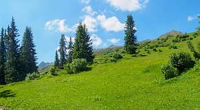 Jatzmeder Sertig Sand