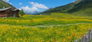 Jatzmeder Sertig Sand