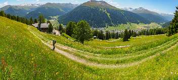 Alpinum, Schatzalp, botanische tuin<br>Links Strela-Alp