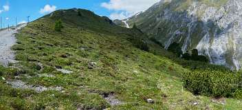 Alpinum, Schatzalp, botanische tuin<br>Strela-Pass