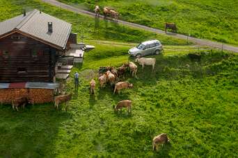 Jatzmeder - Oberalp - Monstein