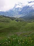 In de verte Grindelwald