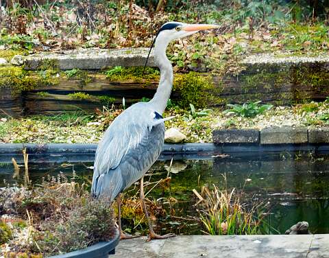 210307-125907_Reiger