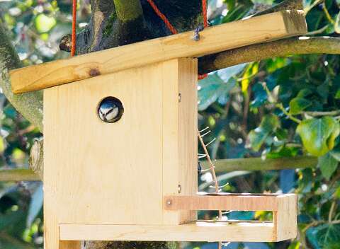 210314-132350_tuin