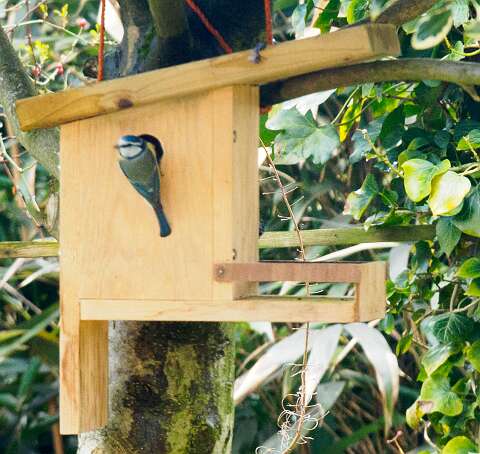 210314-133054_tuin