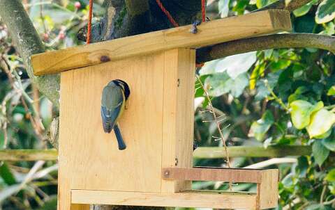 210314-133105_tuin