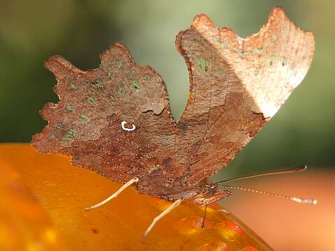 2009 08 31_0041