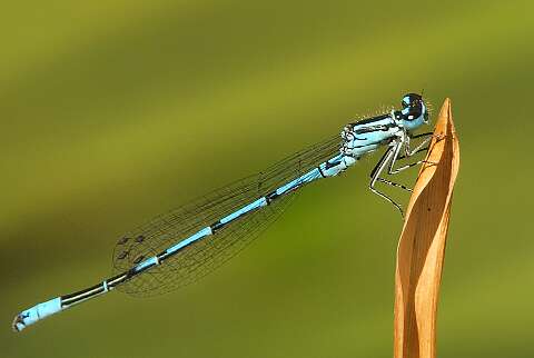 2010 06 23_Tuin_2035_Bew