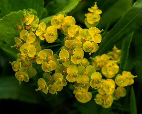 200429-184439_Tuin