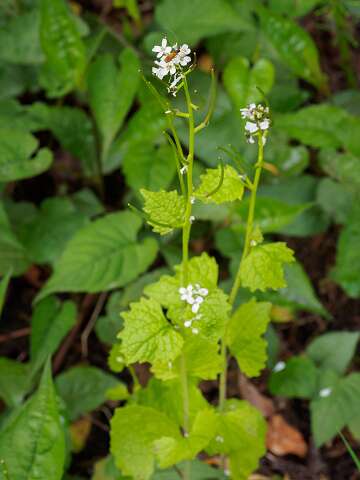 200429-191918_Tuin