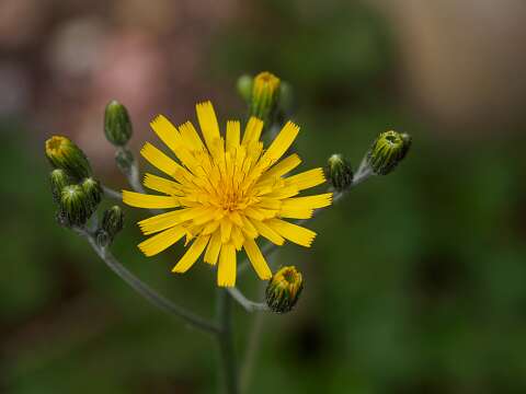 200510-110823_Tuin