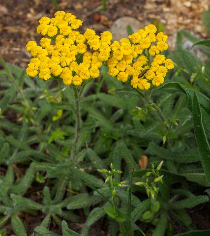 200510-110950_Tuin