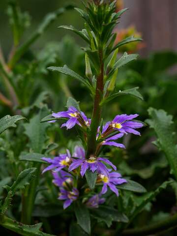 200510-111639_Tuin