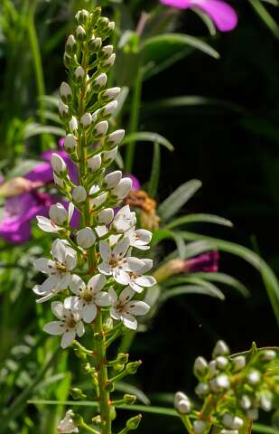 200721-150330_naamloos