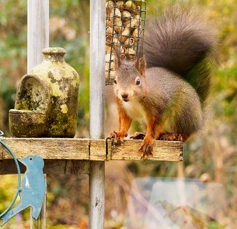 210310-103537_tuin