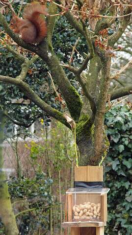 Almelo_130316_1216A