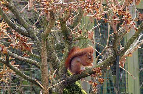 Almelo_130319_1020